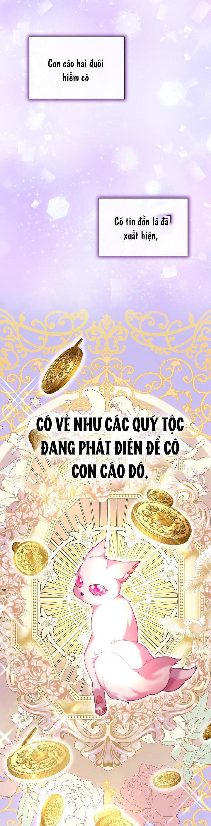 Tôi Đã Tái Sinh Thành Bé Cáo Của Thần Chương 52 Trang 24