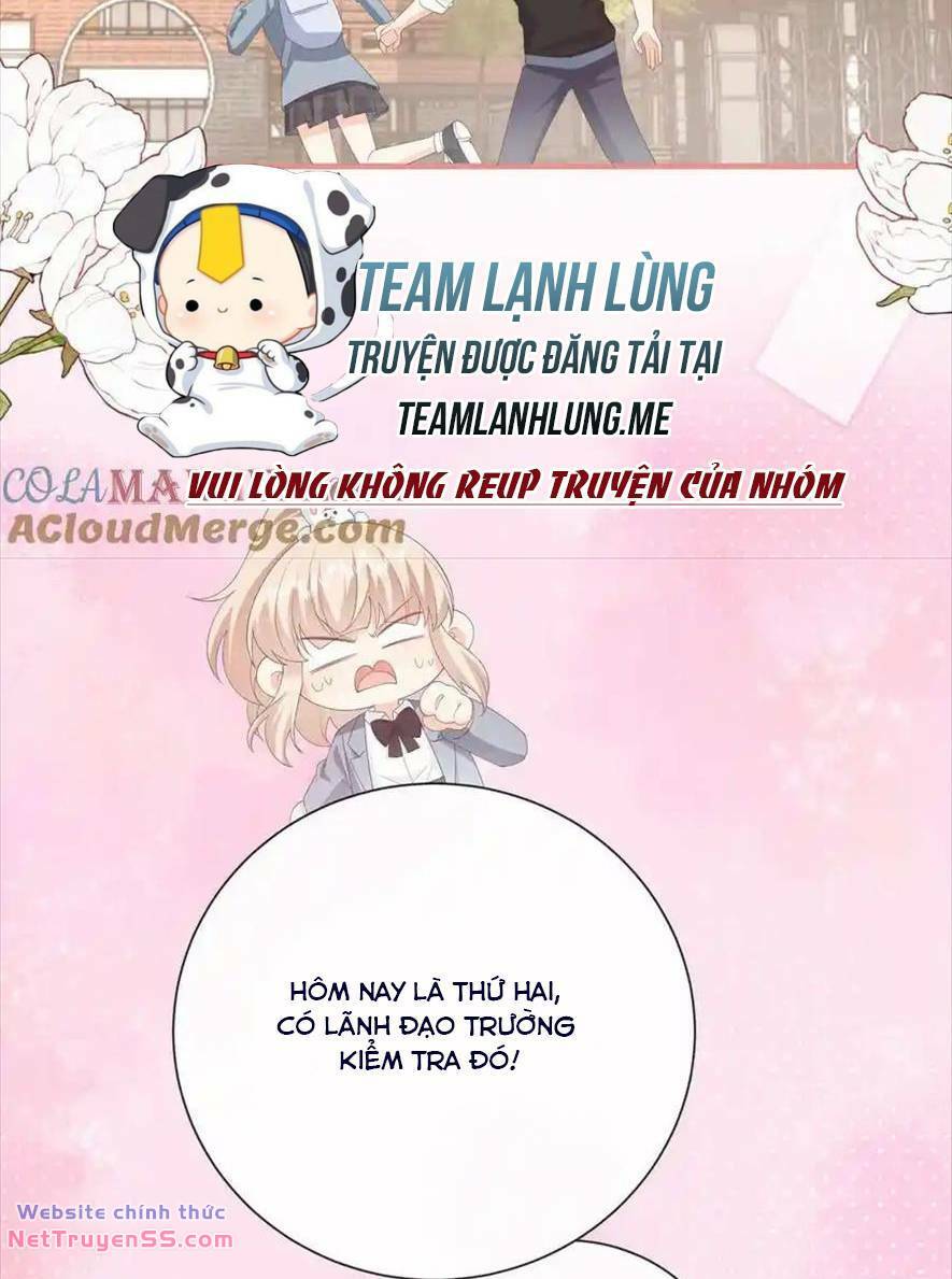 Trọng Sinh Trở Lại Làm Vợ Tổng Tài Chương 101 Trang 28