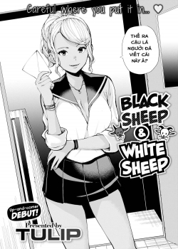 Black Sheep & White Sheep