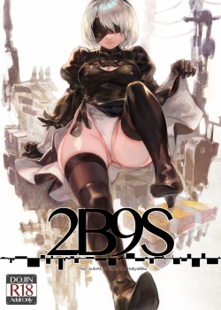 2B9S