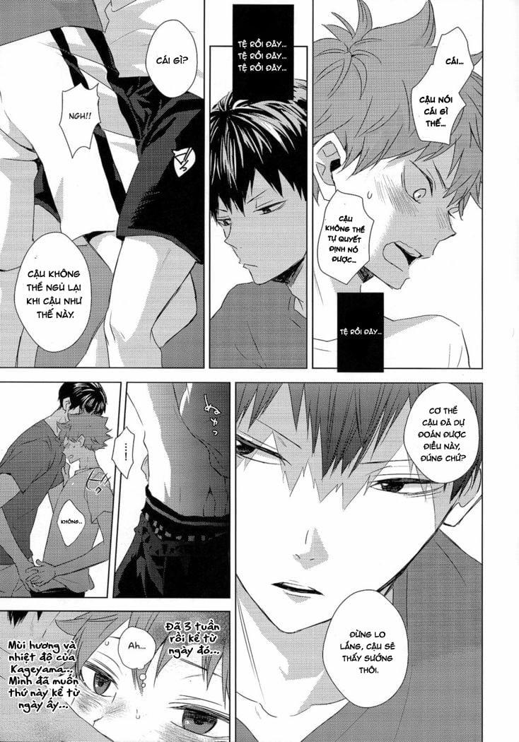 [18+ Bl] Tuyển Tập Oneshot! Haikyuu!! Chương 4 Trang 25