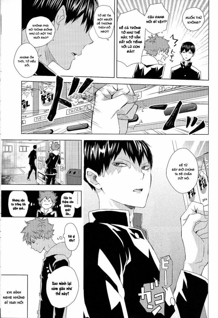 [18+ Bl] Tuyển Tập Oneshot! Haikyuu!! Chương 5 Trang 11