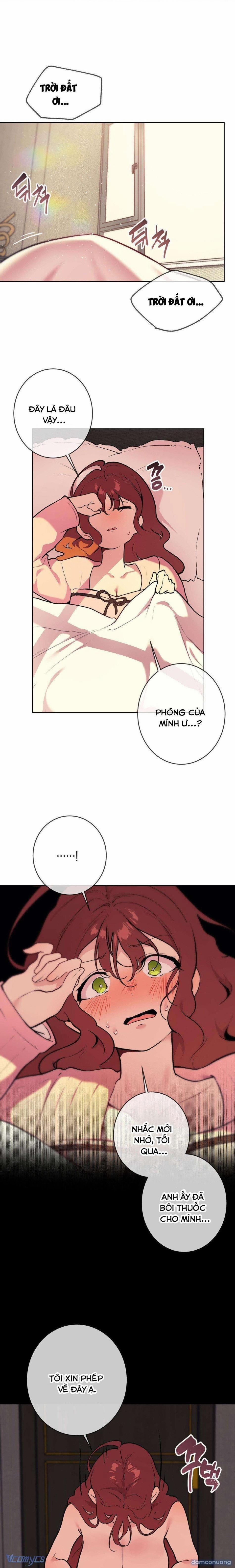 『18+』Cherry Pop 5 trang 0