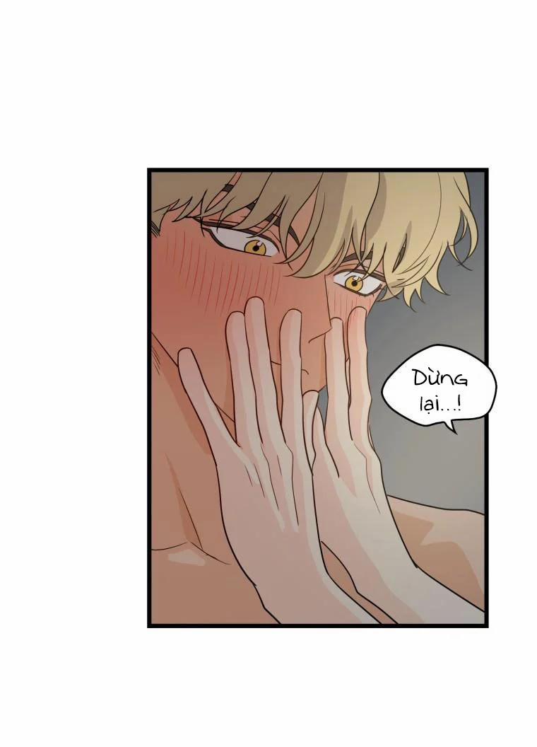 [18+] Con Số 9 Kì Lạ 11.1 trang 23