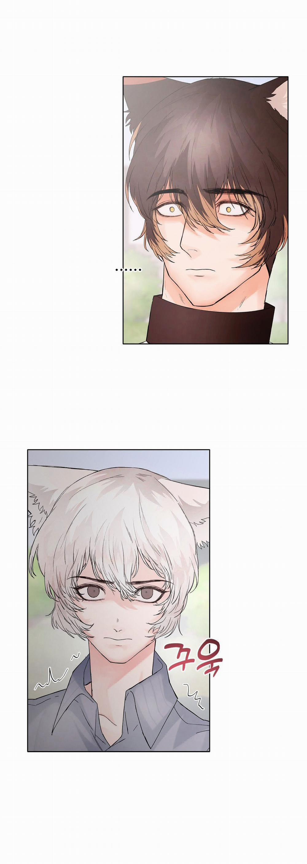 [18+] Cún Con Của Chủ Nhân 9.1 trang 14