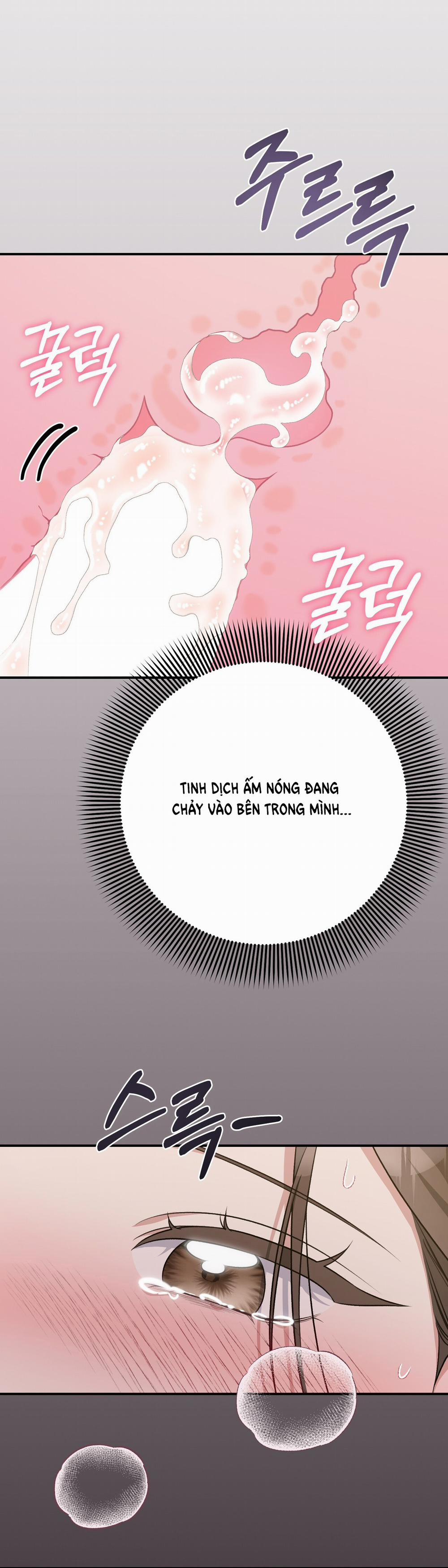 [18+] Cướp Dâu 14.2 trang 5