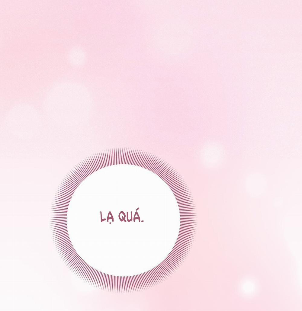 [18+] Cướp Dâu 16.1 trang 8