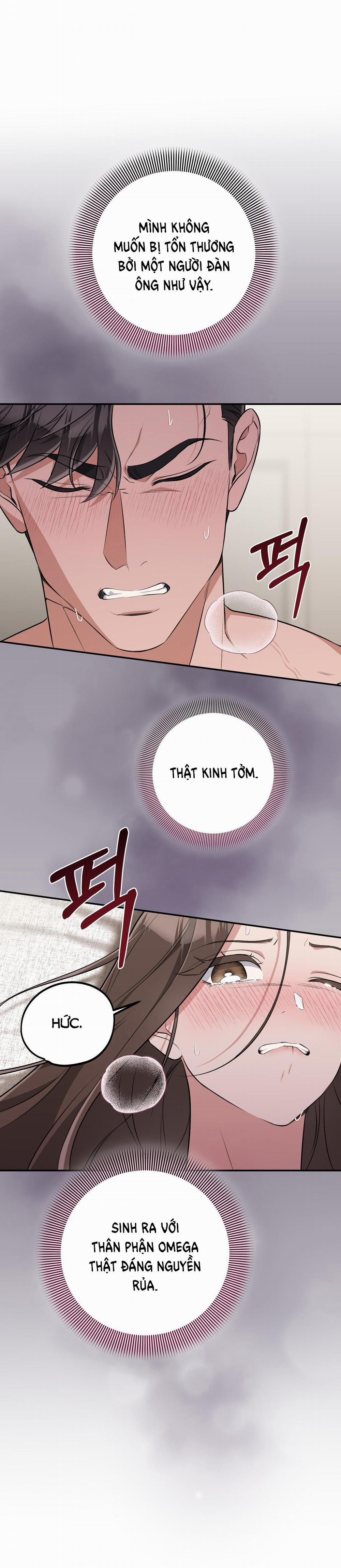 [18+] Cướp Dâu 24.1 trang 2