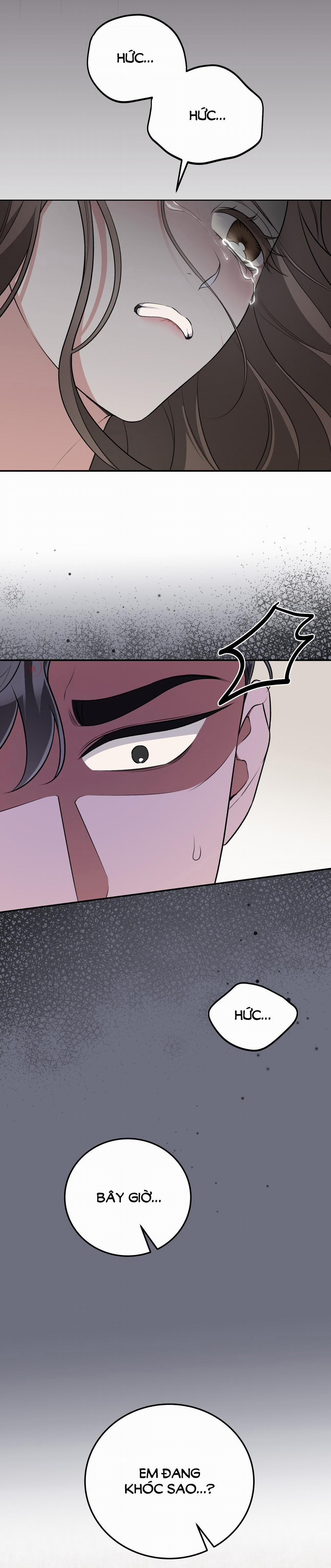 [18+] Cướp Dâu 24.1 trang 8