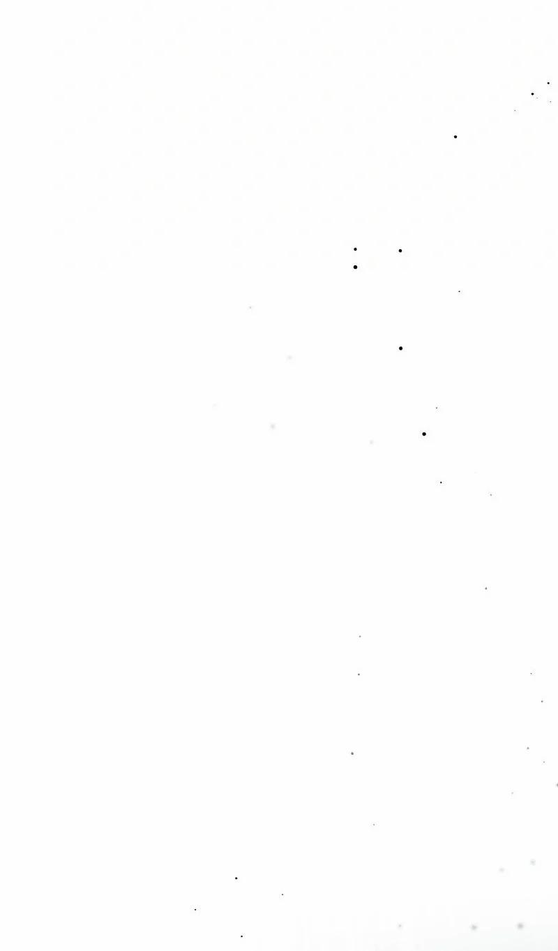 [18+] Dinh Thự Của Dã Thú 69 trang 47