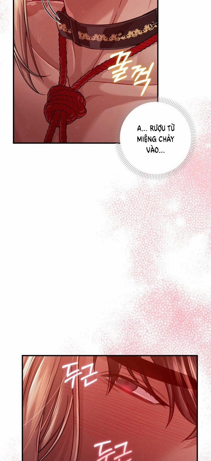 [18+] Độc Chiếm Và Hủy Diệt 21.1 trang 13
