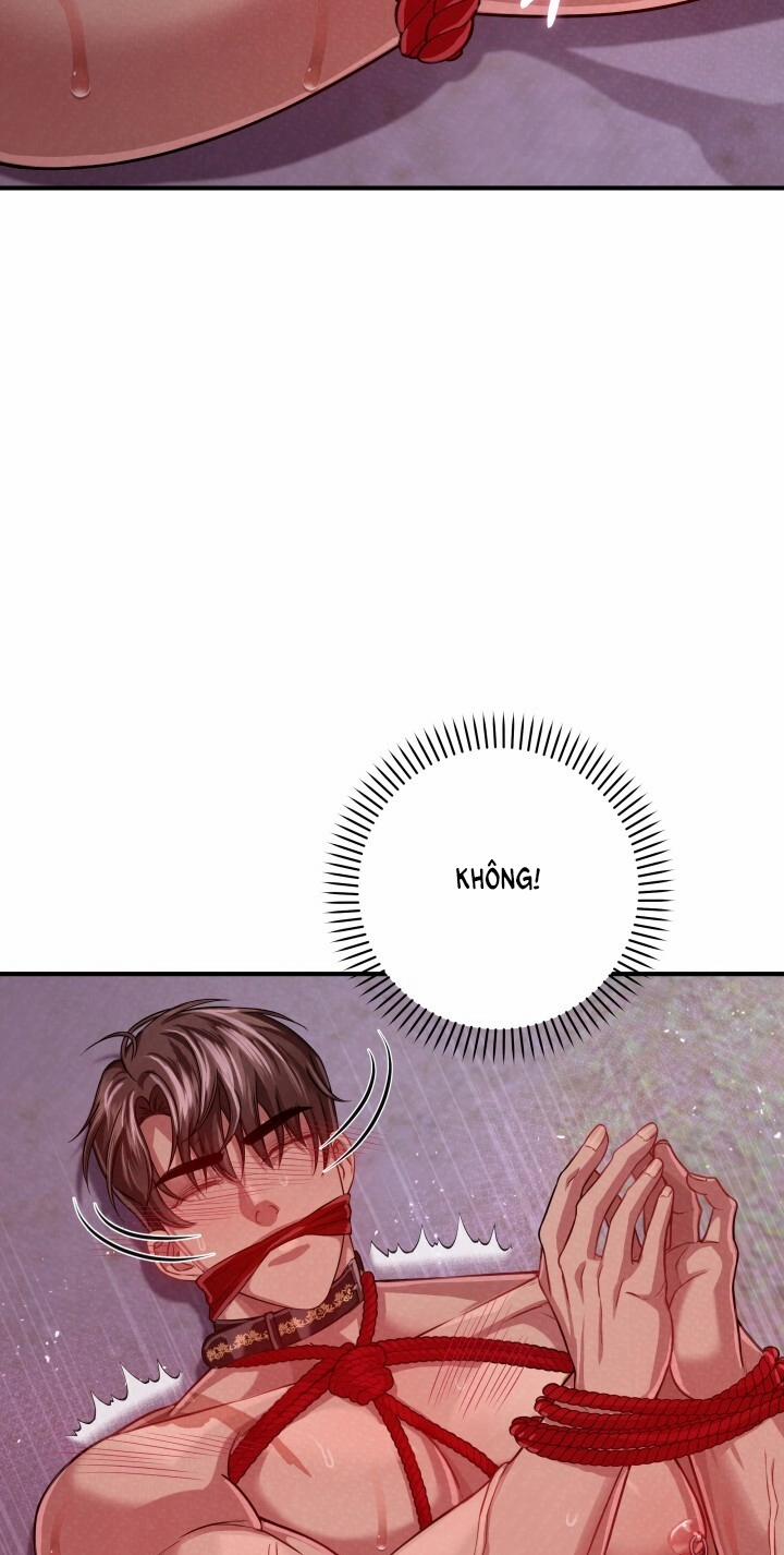 [18+] Độc Chiếm Và Hủy Diệt 22.2 trang 41