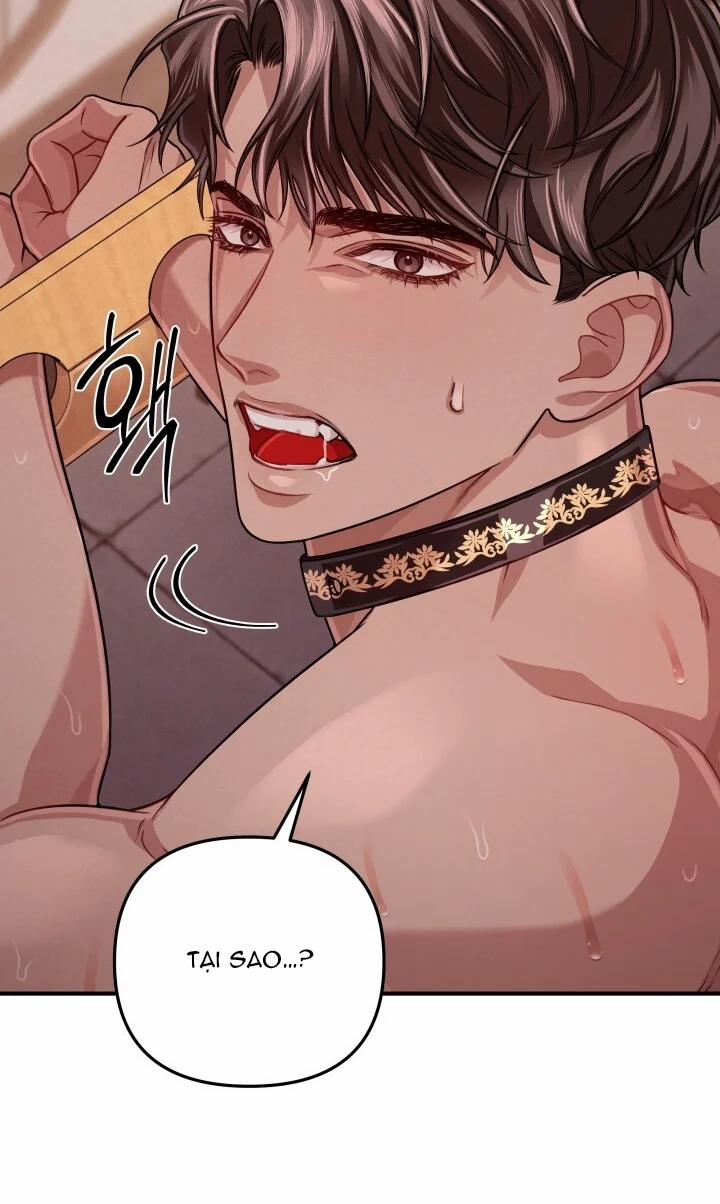 [18+] Độc Chiếm Và Hủy Diệt 31.2 trang 17