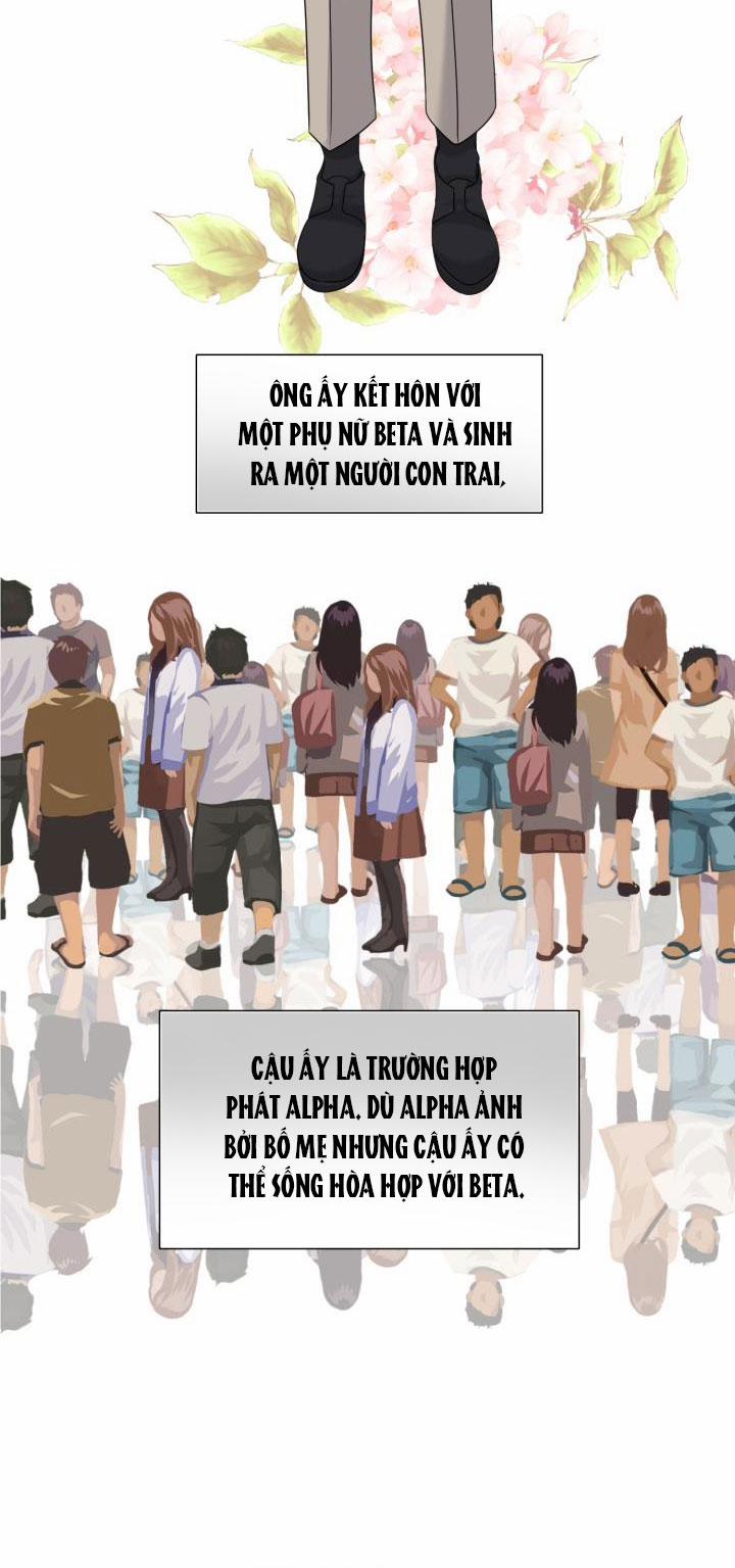 [18+] Em Sẽ Chọn Alpha Nào~ 11.2 trang 17