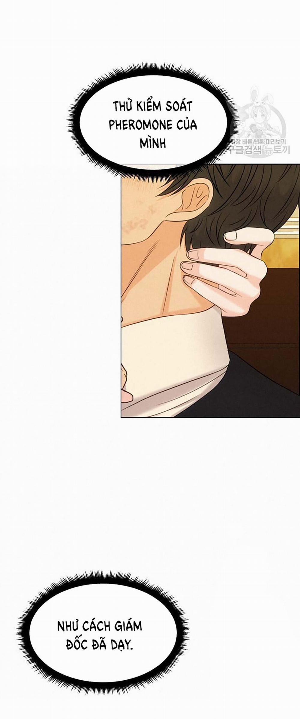 [18+] Em Sẽ Chọn Alpha Nào~ 71.2 trang 32