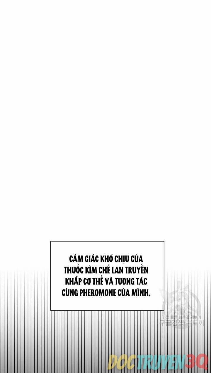 [18+] Em Sẽ Chọn Alpha Nào~ 79.1 trang 31