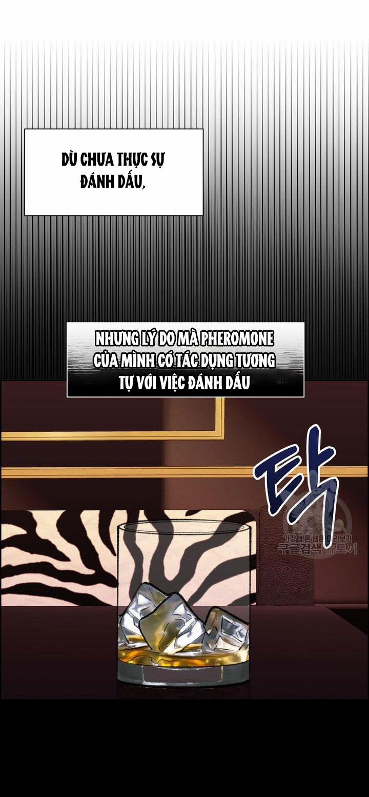 [18+] Em Sẽ Chọn Alpha Nào~ 82.2 trang 18