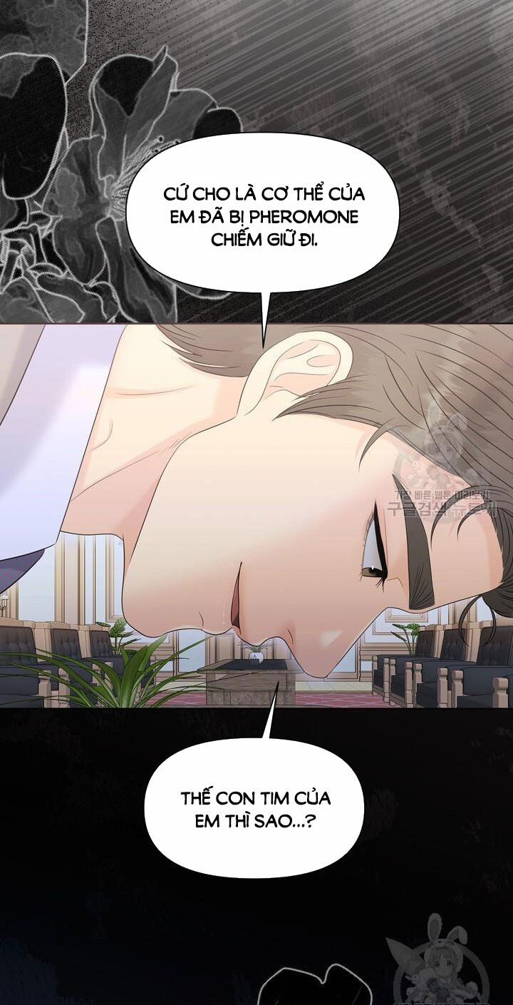 [18+] Em Sẽ Chọn Alpha Nào~ 87.1 trang 11