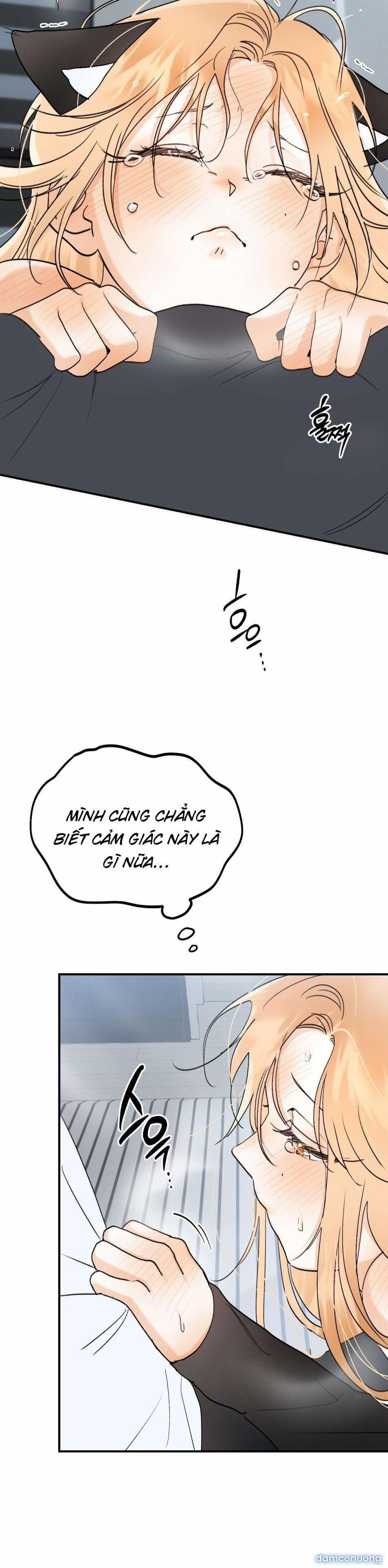 [ 18+ Không Che ] Người Đàn Ông Được Quỷ Theo Đuổi 19 trang 7