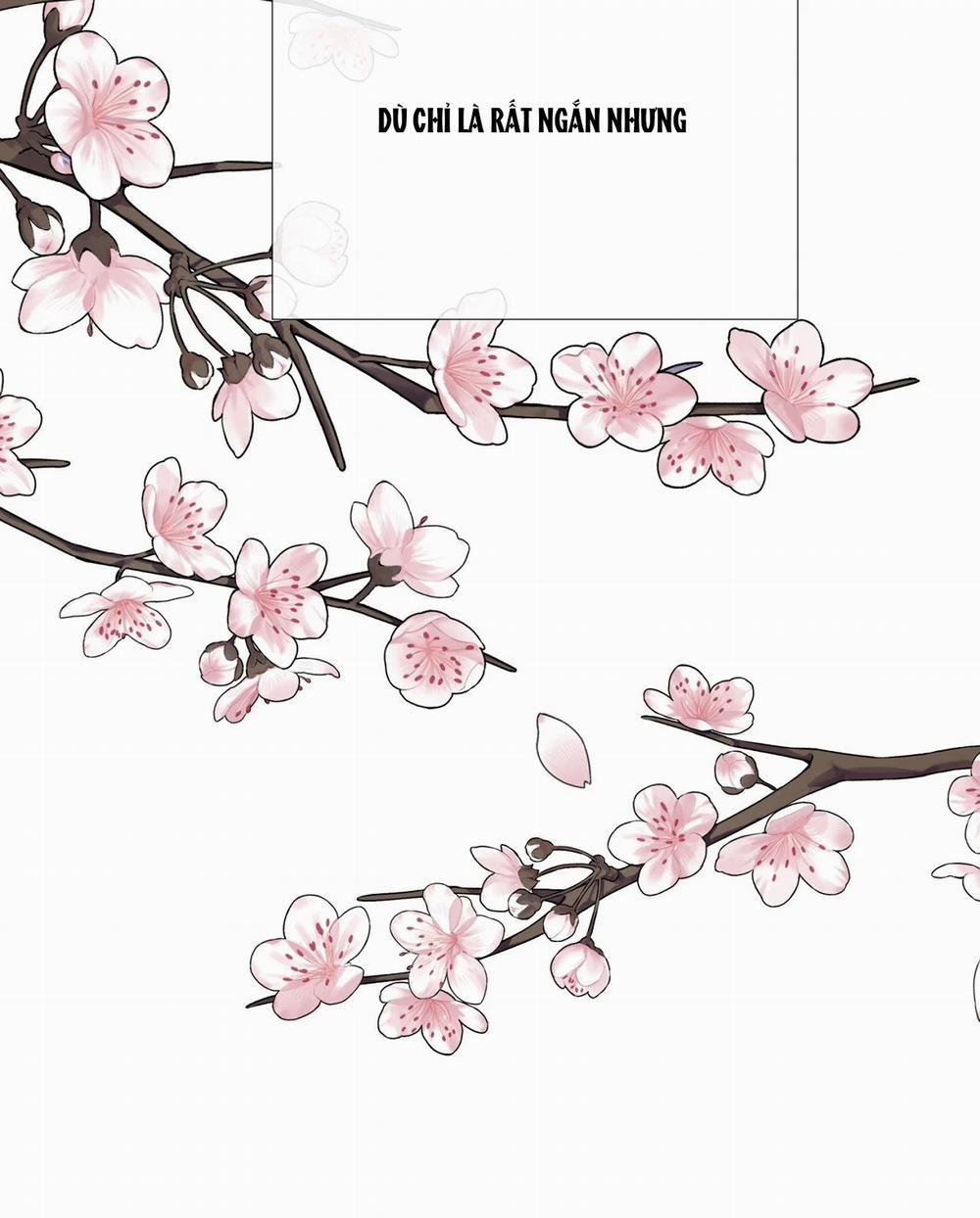 [18+] Lâu Đài Hoang Dại 4.1 trang 46