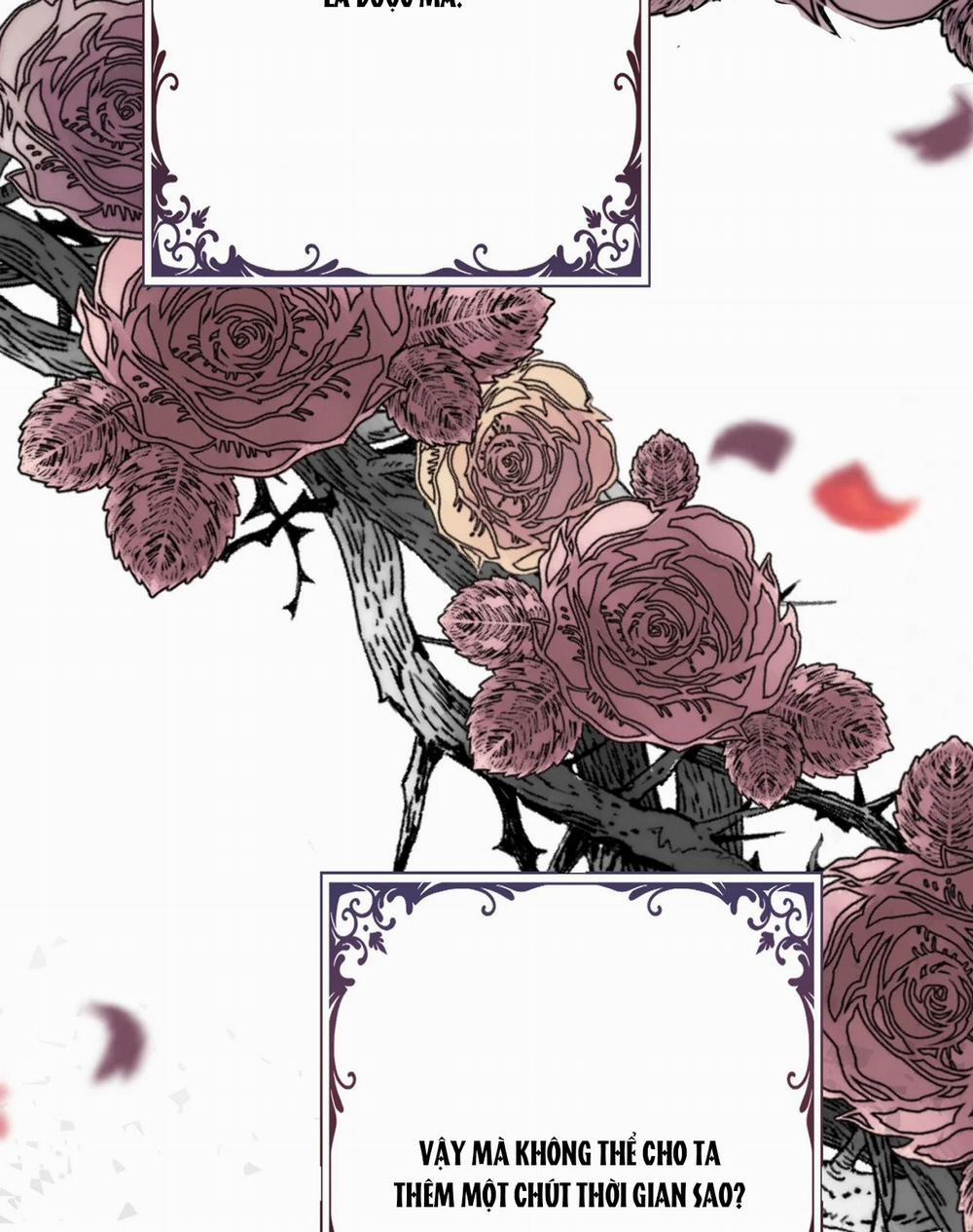 [18+] Lâu Đài Hoang Dại 5.2 trang 5