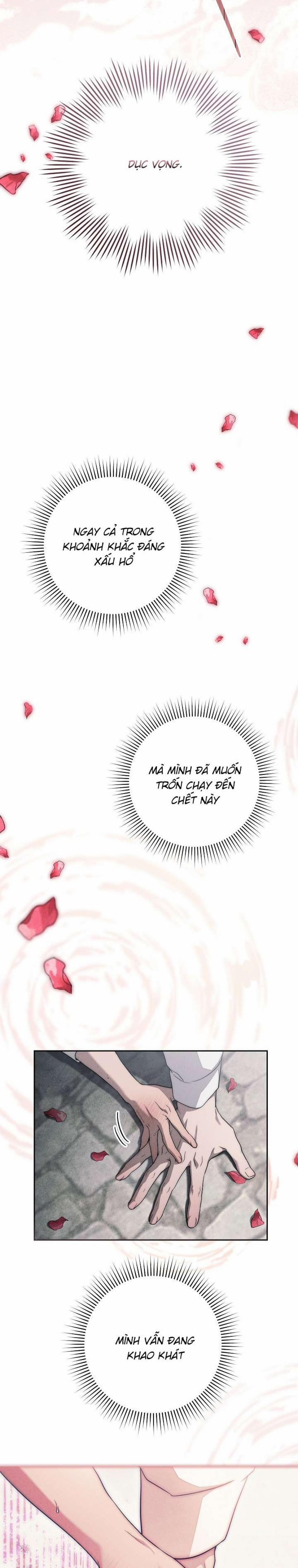 [18+] Mộ Thiên Nga 17 trang 37