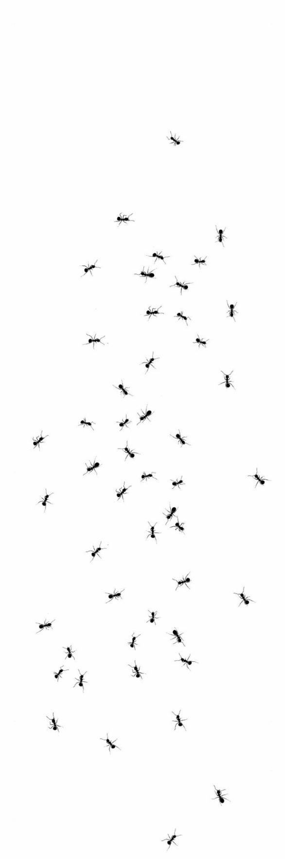 [18+] Nguyệt Mị Moonstruck 25 trang 5