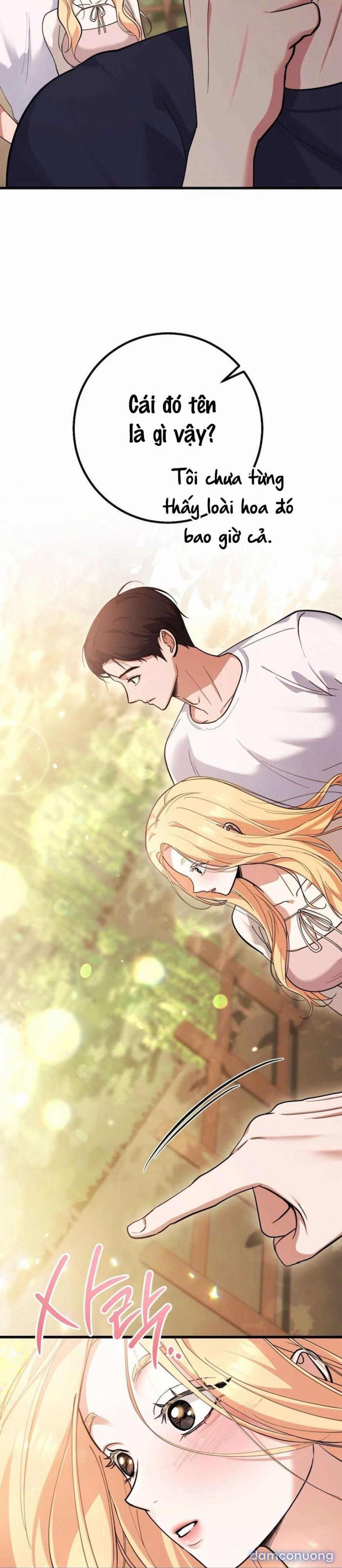 [18+] Những Người Đàn Ông Của Mi Ji 6 trang 11