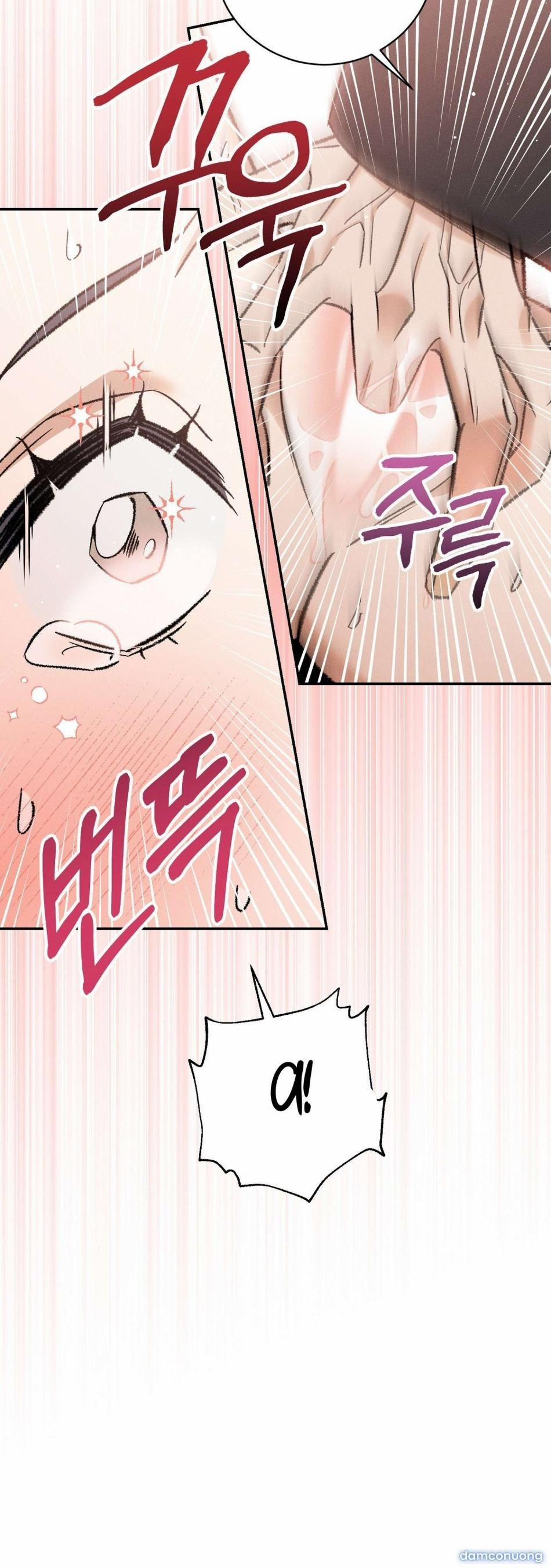 〖18+〗- Sự Tôn Thờ Tuyệt Đối 3 trang 2