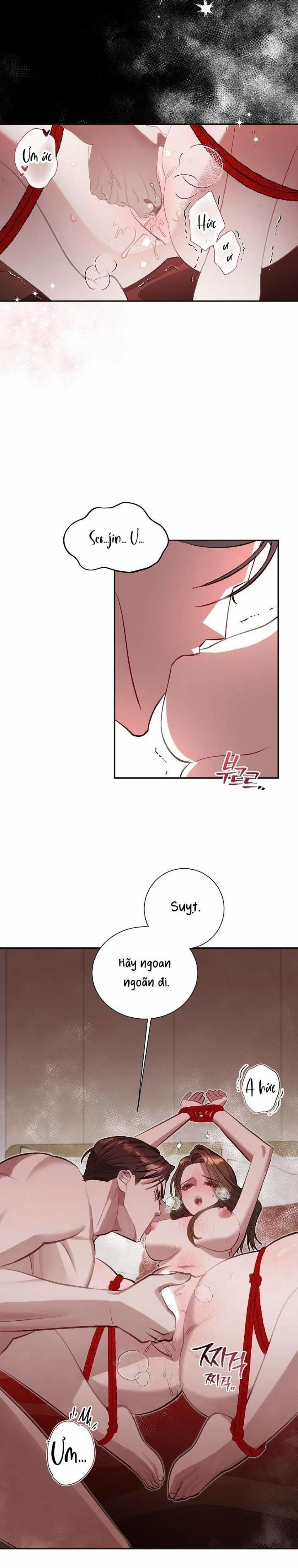 [ 18+ ] Sự Trói Buộc Tuyệt Đẹp 2 trang 12