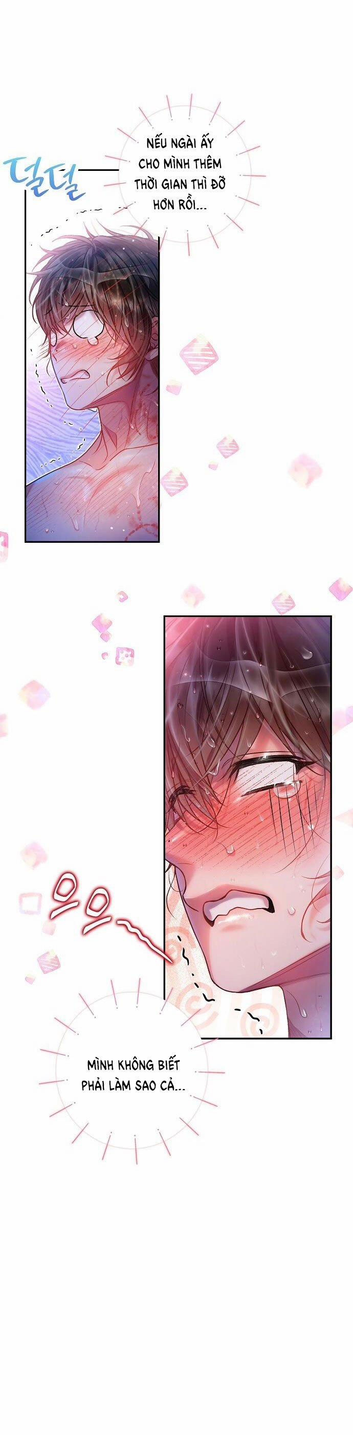 [18+] Sugar Rain 28.1 trang 23