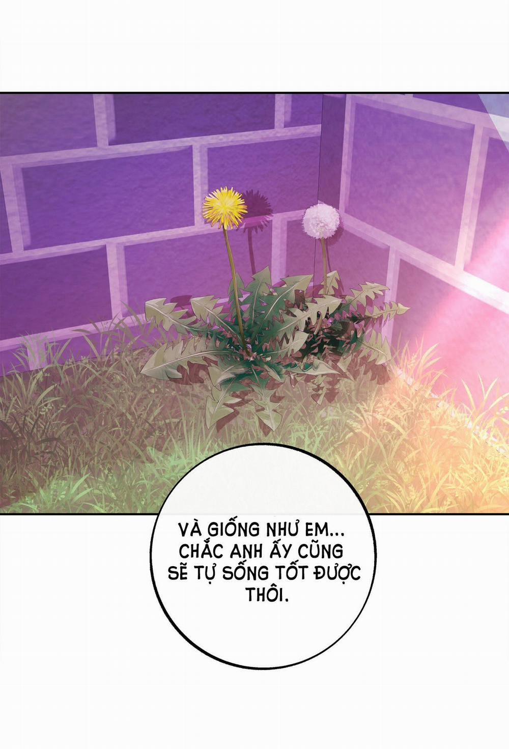 [18+] Tận Cùng Của Thế Giới 35.2 trang 4