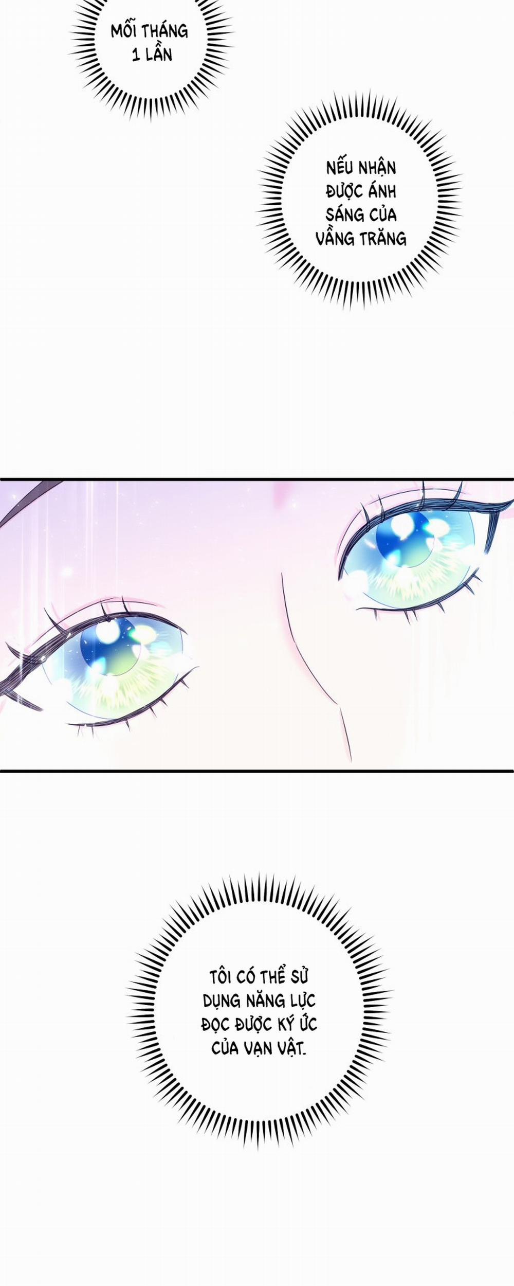 [18+] Tôi Đã Kết Hôn Với Kẻ Thù Giết Cha Mẹ 4.2 trang 12