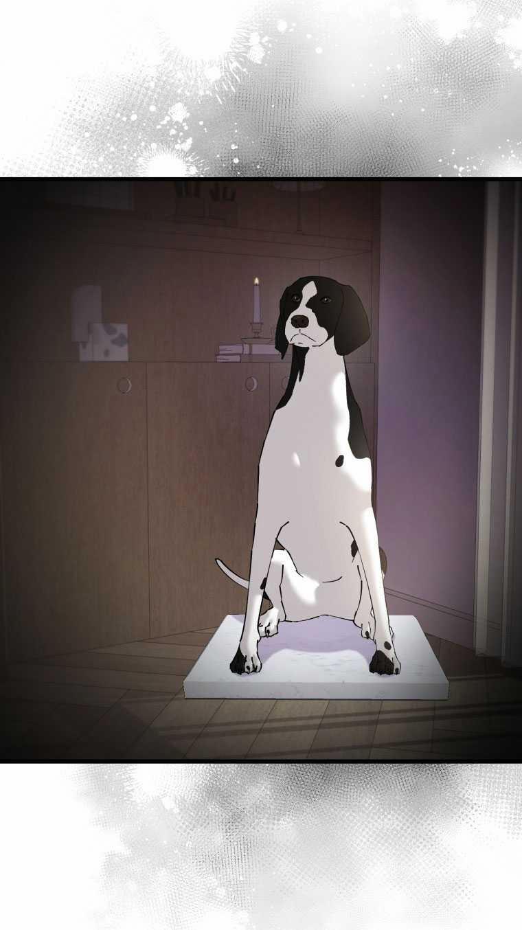 [18+] Trái Tim Của Apollo 58.2 trang 35