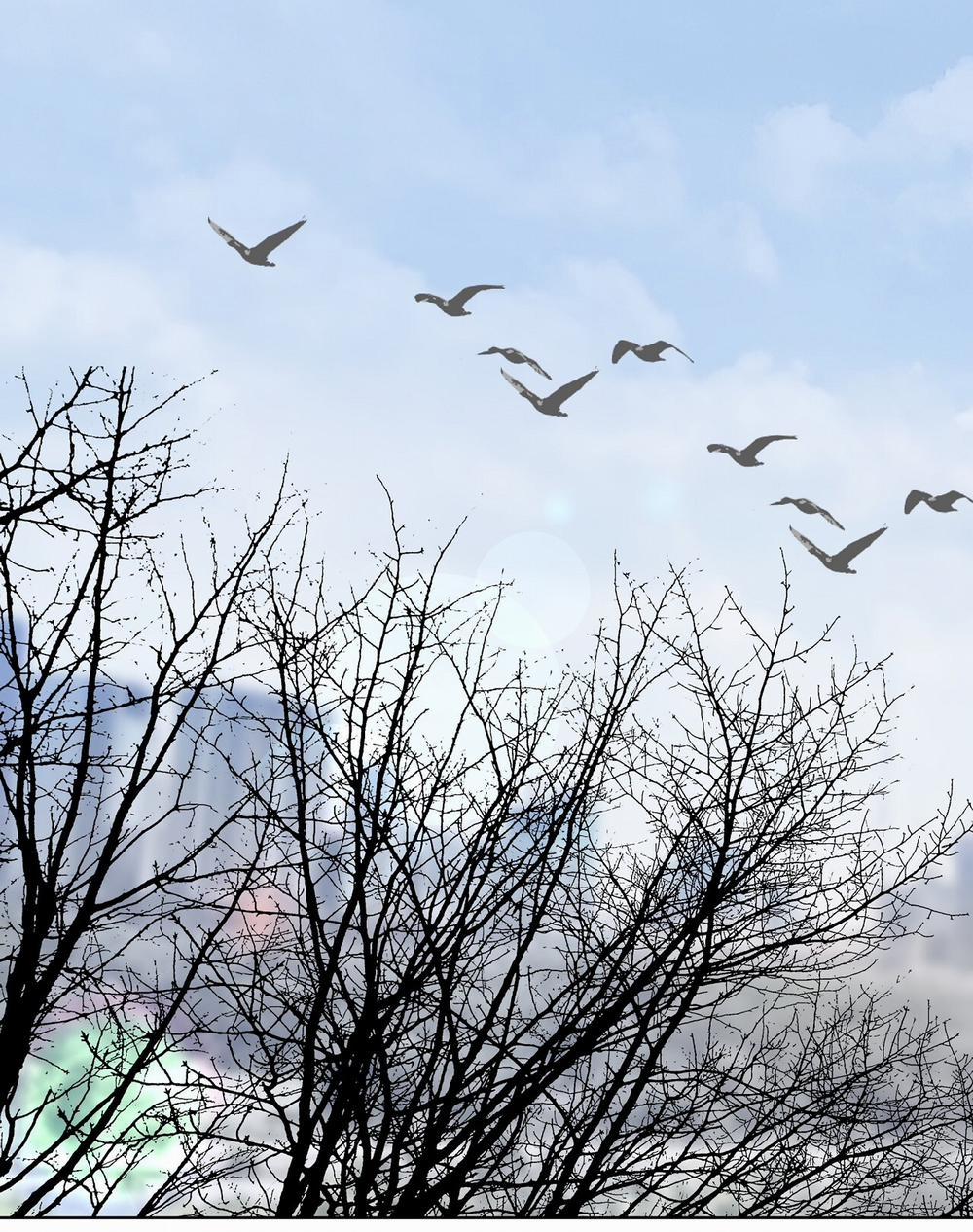 [18+] Trời Sinh Địch Thủ 14.2 trang 21