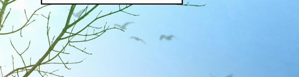 [18+] Trời Sinh Địch Thủ 15.2 trang 69