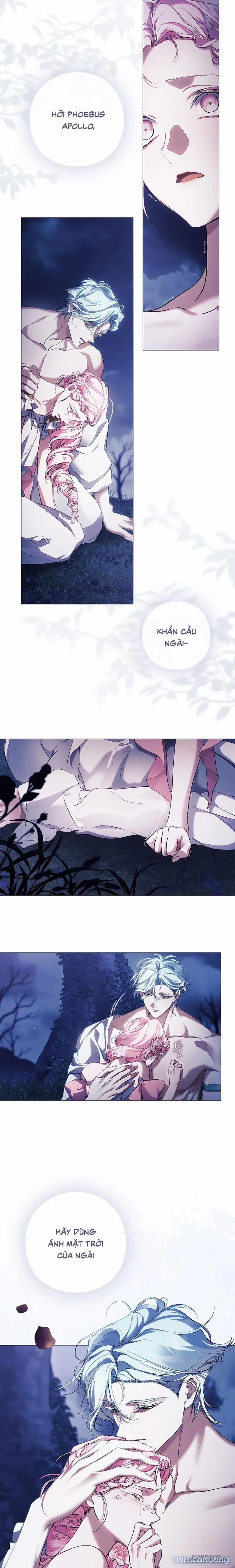 [19+] Dành Cho Các Nữ Thần: Dành Cho Daphne 41 trang 17