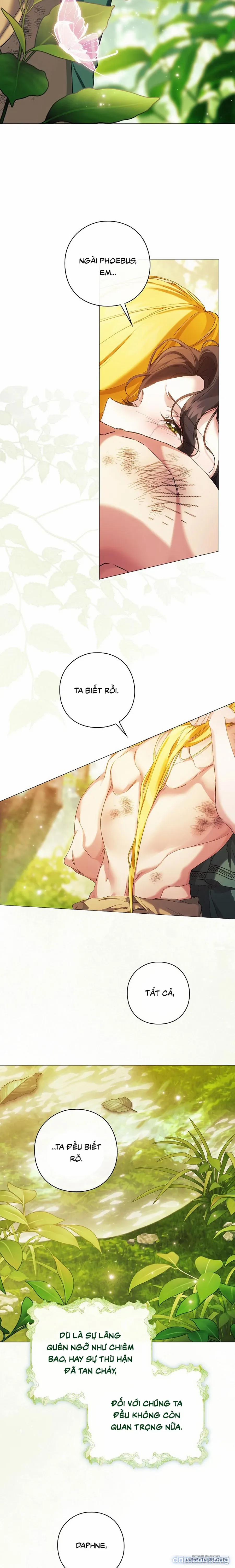 [19+] Dành Cho Các Nữ Thần: Dành Cho Daphne 44 trang 26