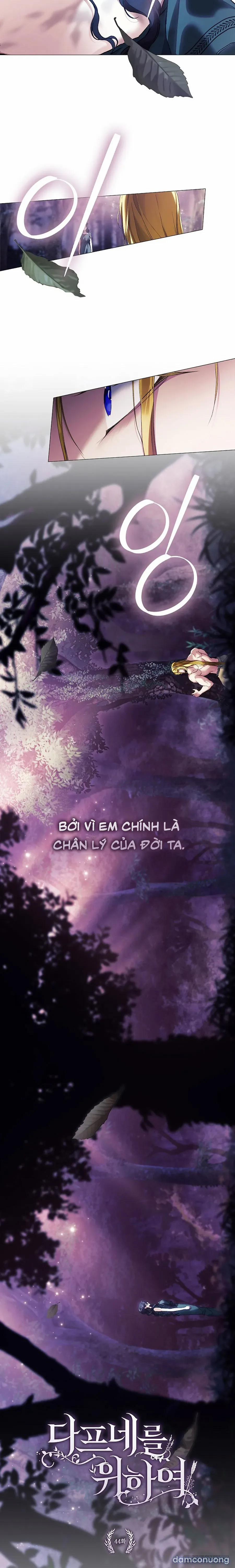 [19+] Dành Cho Các Nữ Thần: Dành Cho Daphne 44 trang 8
