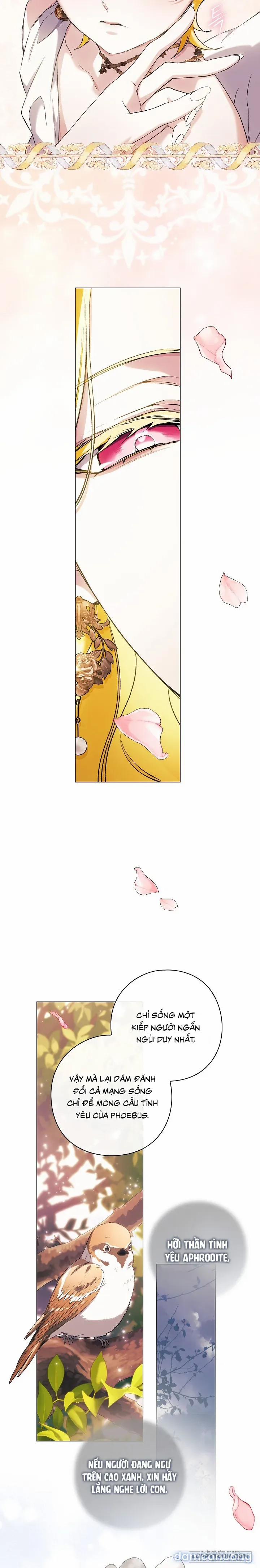 [19+] Dành Cho Các Nữ Thần: Dành Cho Daphne 45 trang 14