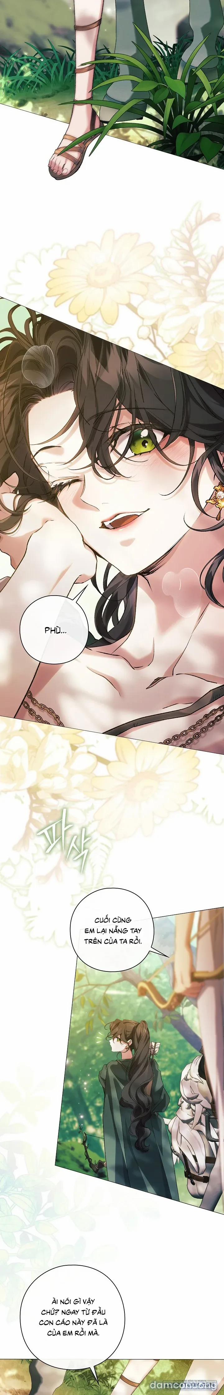 [19+] Dành Cho Các Nữ Thần: Dành Cho Daphne 46 trang 7