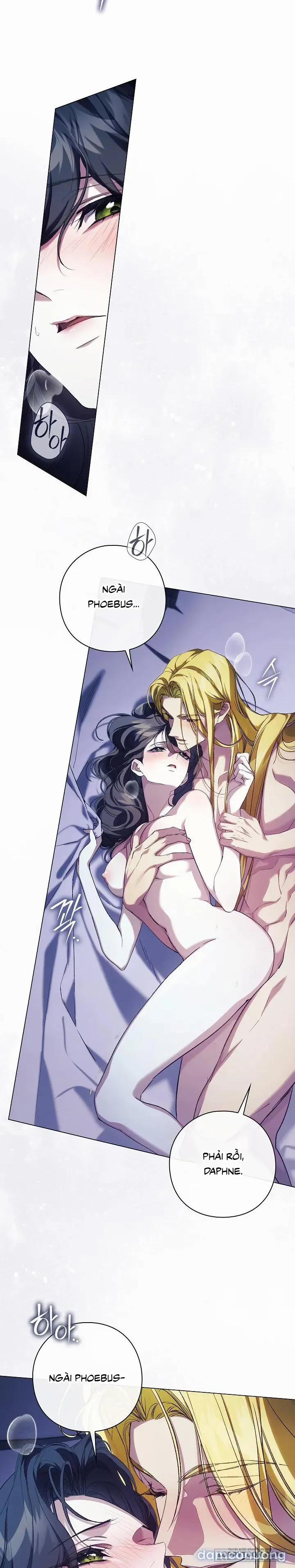 [19+] Dành Cho Các Nữ Thần: Dành Cho Daphne 48 trang 8