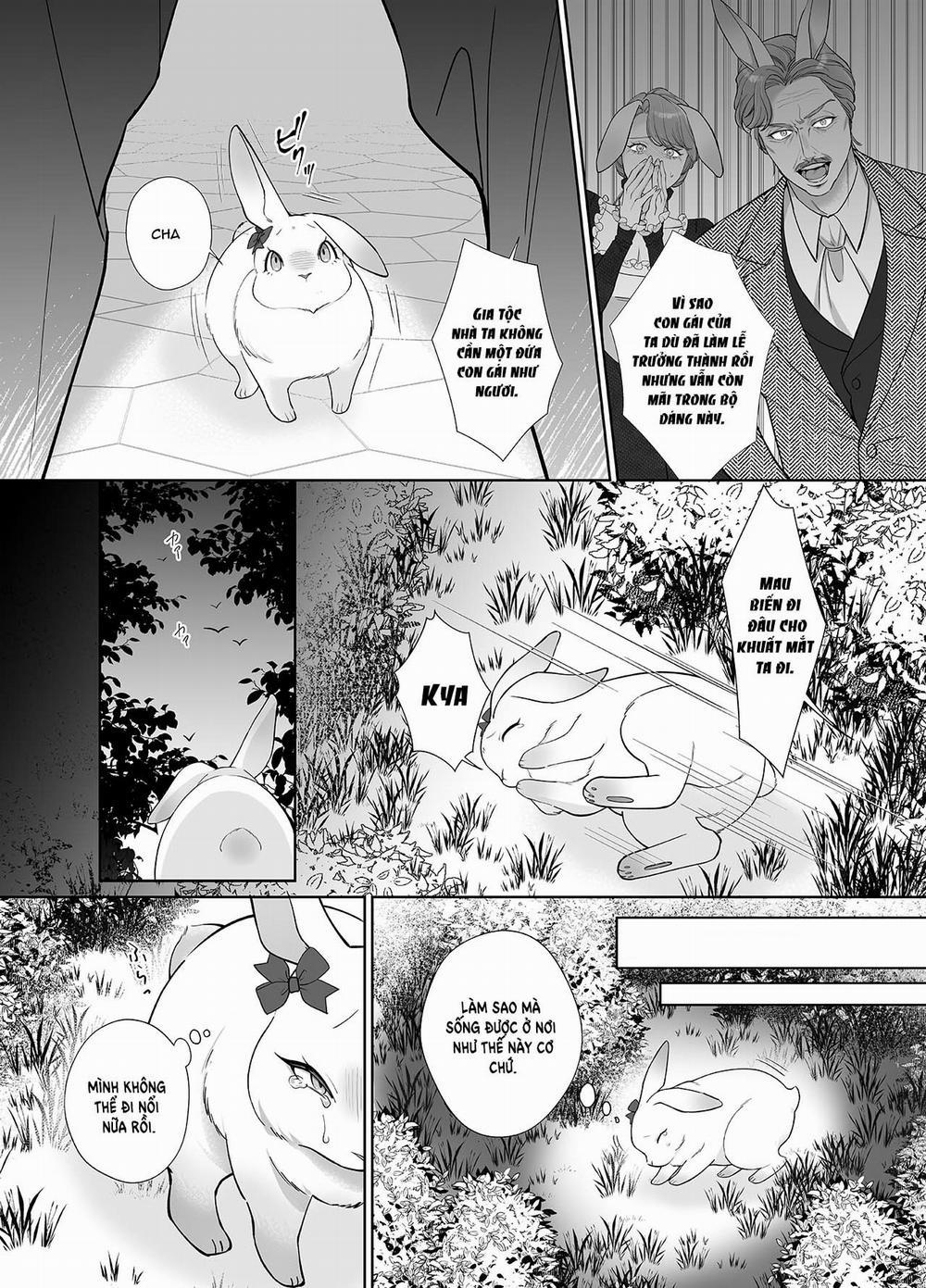 [21+] Cô Dâu Thỏ Của Chàng Sư Tử Hung Mãnh 1 trang 2