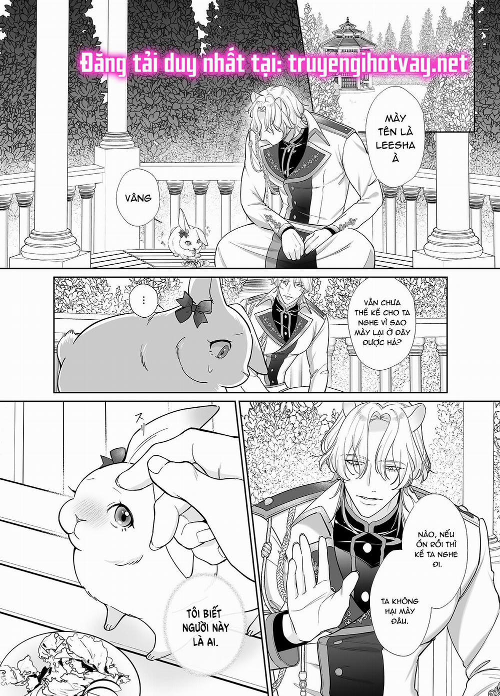 [21+] Cô Dâu Thỏ Của Chàng Sư Tử Hung Mãnh 1 trang 4