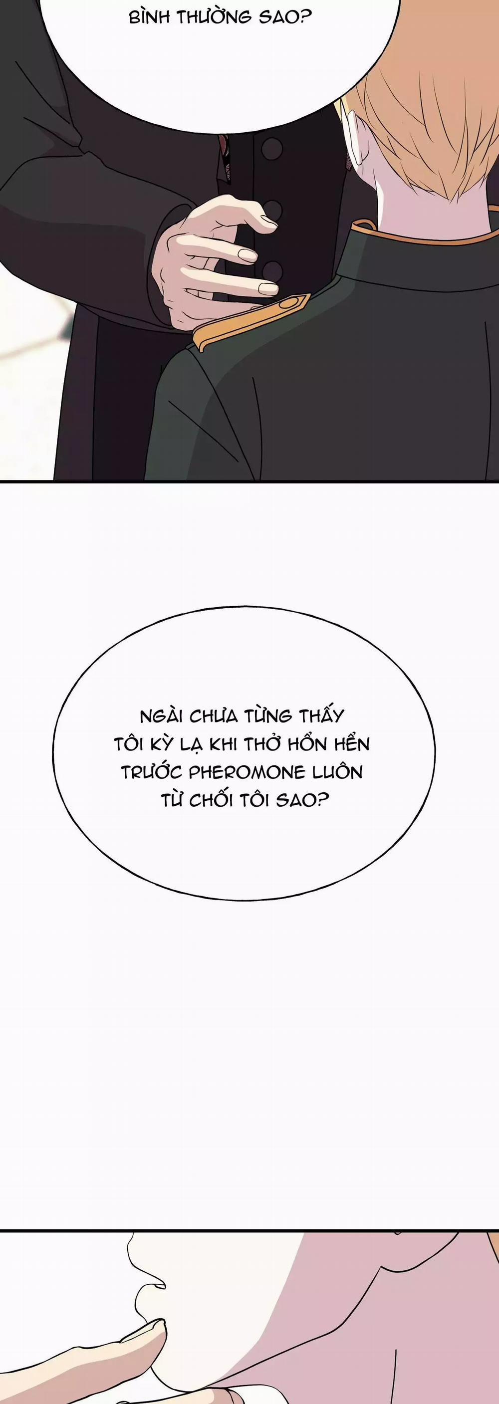 (Abo) Đám Cưới Hoàng Gia 33 trang 10