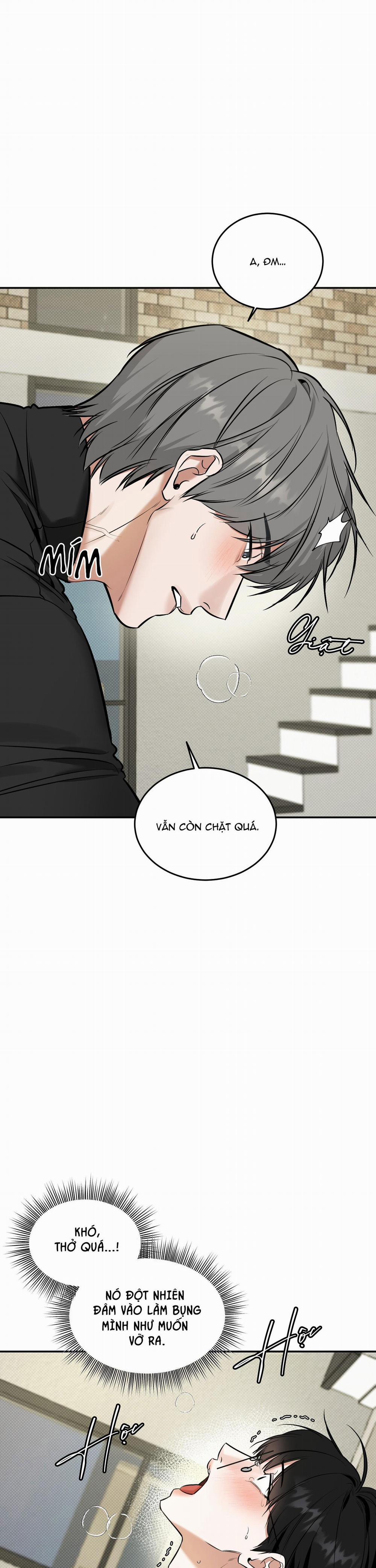 (Abo) Feel My Benefit 10 H++ trang 19