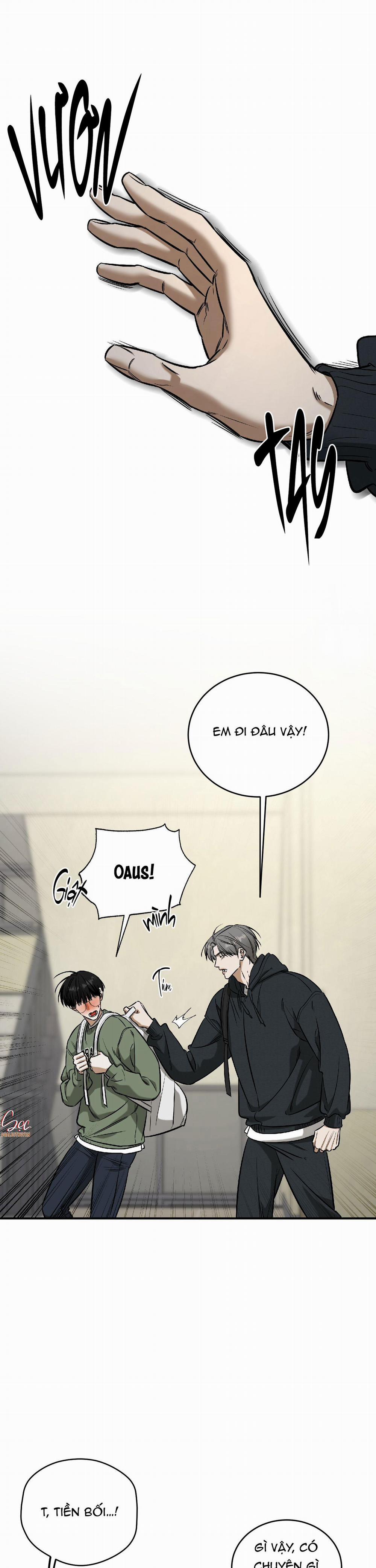 (Abo) Feel My Benefit 37 trang 11