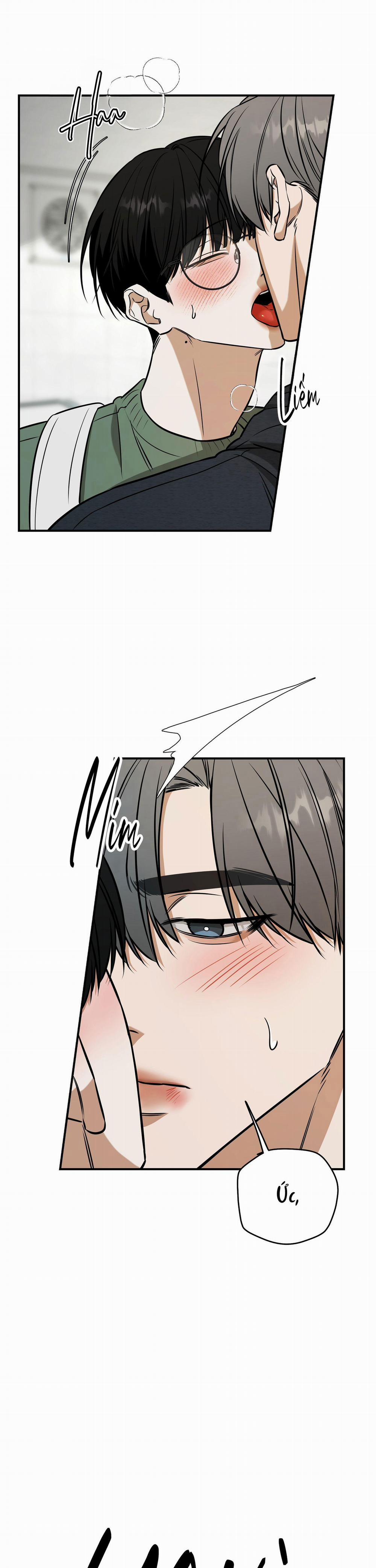 (Abo) Feel My Benefit 38 trang 17