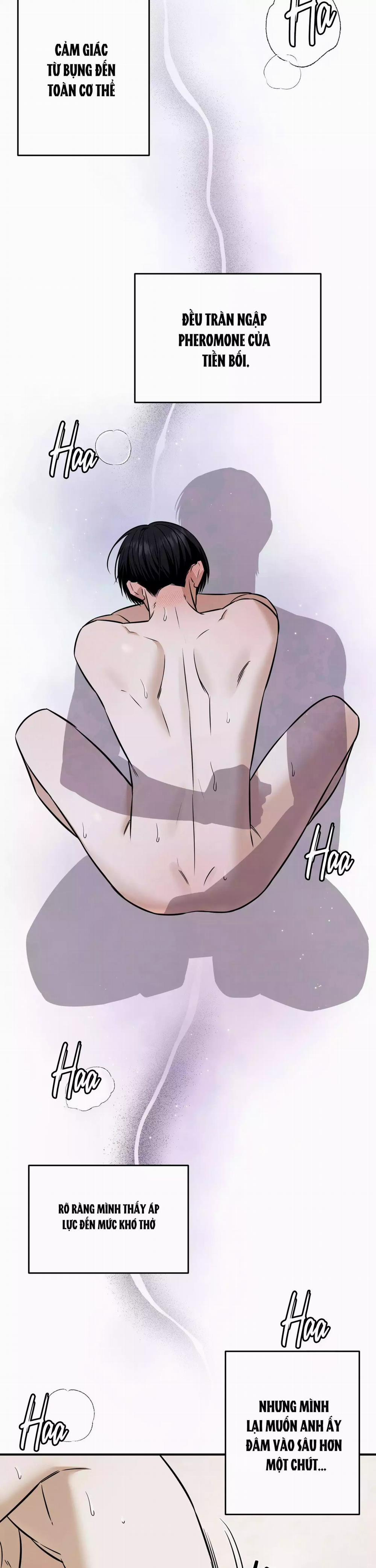 (Abo) Feel My Benefit 40 trang 13