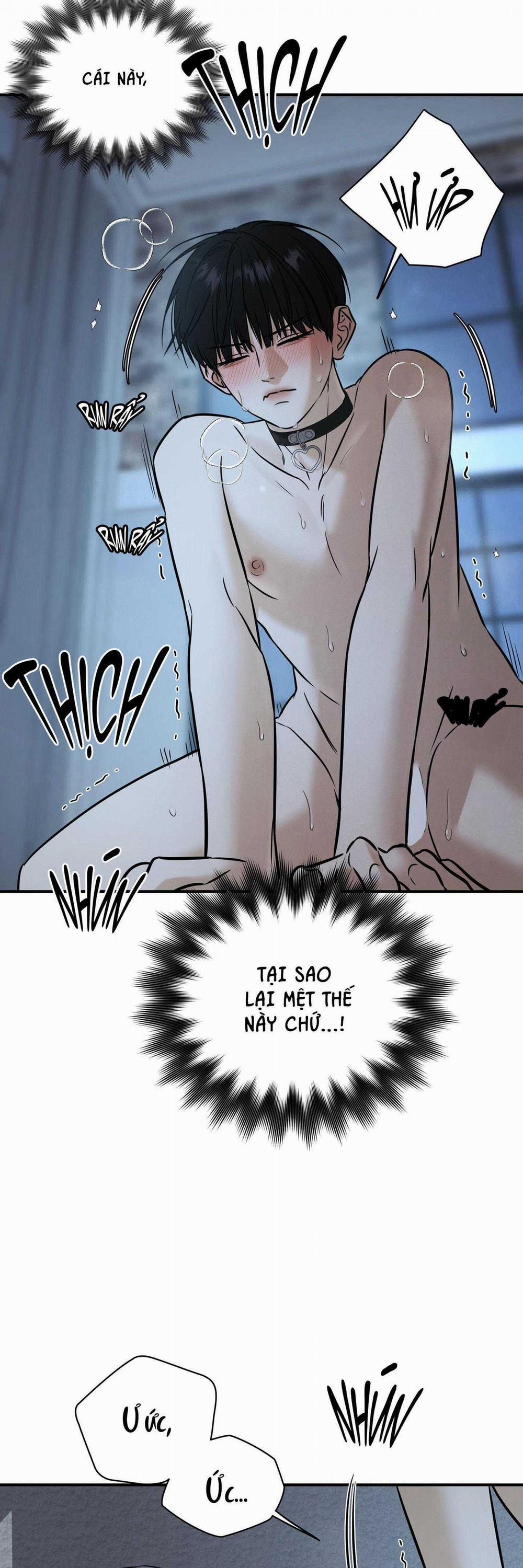 (Abo) Feel My Benefit 41 trang 13